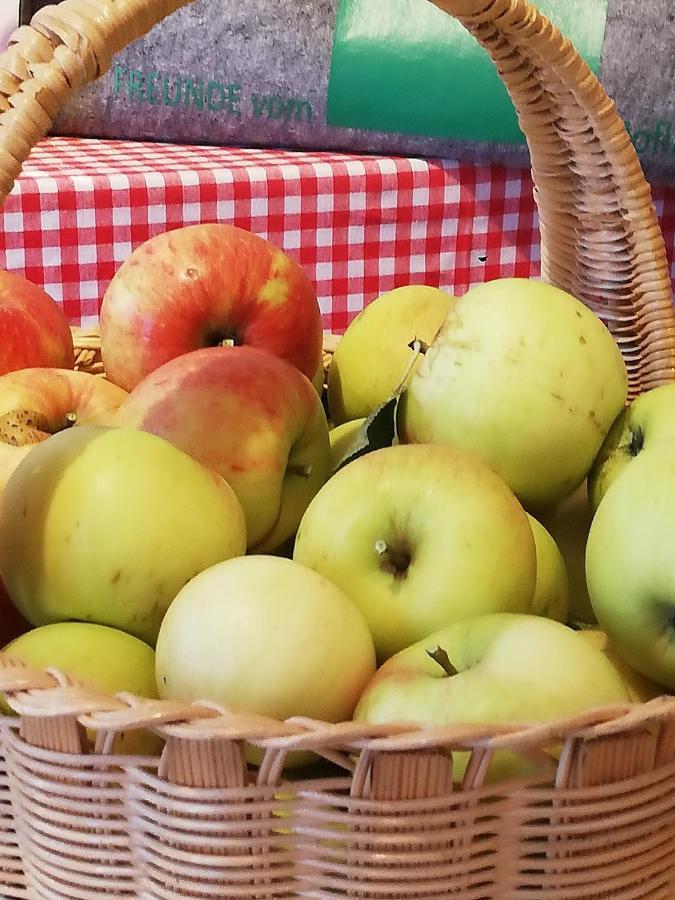 Ahrnhof Leilighet Innsbruck Eksteriør bilde